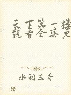 天下第一楼在线观看全集免费高清封面