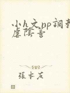 小h文np调教虐阴蒂