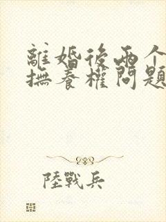 离婚后两个孩子抚养权问题封面