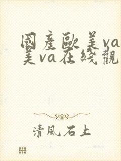 国产欧美va欧美va在线观看