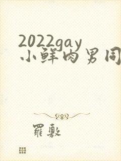 2022gay小鲜肉男同