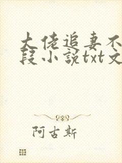 大佬追妻不择手段小说txt文本下载