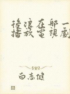 后浪在哪一个台播放电视剧