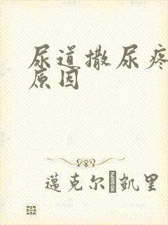 尿道撒尿疼什么原因