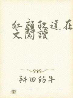 红颜政道在线全文阅读