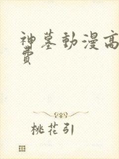神墓动漫高清免费