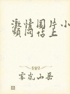 激情图片小说视频网站上封面