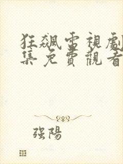 狂飙电视剧40集免费观看完整封面