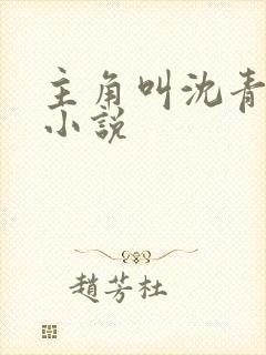 主角叫沈青崖的小说封面