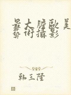 最大胆欧美人体艺术摄影封面