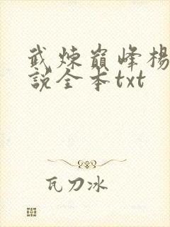 武炼巅峰杨开小说全本txt