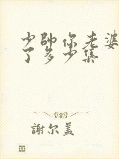 少帅你老婆又跑了多少集封面