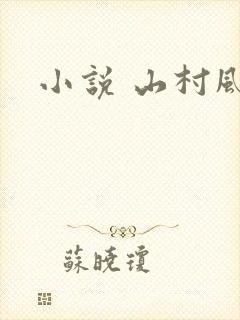 小说 山村风流