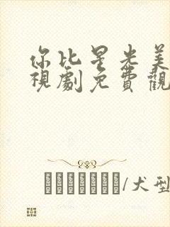 你比星光美丽电视剧免费观看全集高清