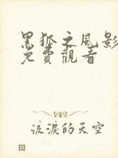 黑狐之风影全集免费观看封面