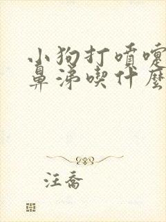 小狗打喷嚏流黄鼻涕吃什么药