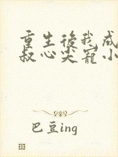 重生后我成了皇叔心尖宠小说
