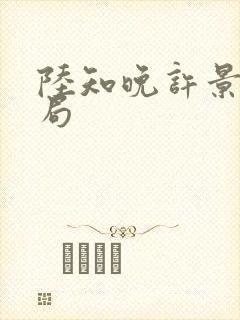 陆知晚许景骁结局