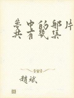 梦中的那片海一共有几集封面