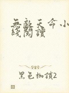 无敌天命小说在线阅读