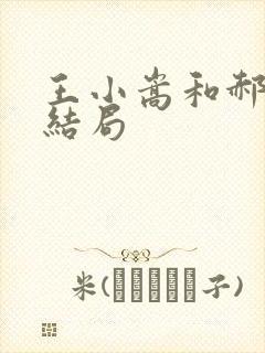 王小嵩和郝梅的结局封面