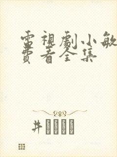 电视剧小敏家免费看全集封面