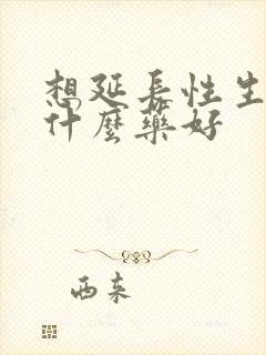 想延长性生活吃什么药好