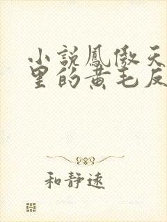 小说凤傲天小说里的黄毛反派也想幸福