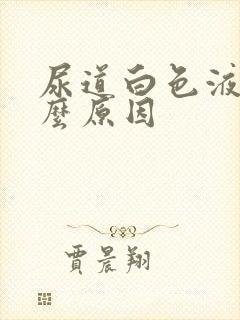 尿道白色液体什么原因