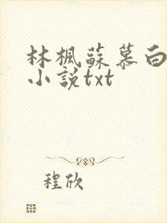 林枫苏慕白穿越小说txt