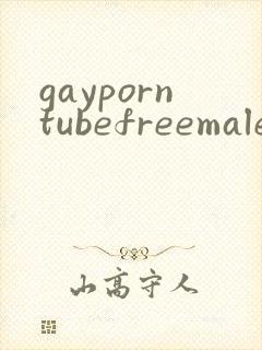 gayporntubefreemalesexvideo