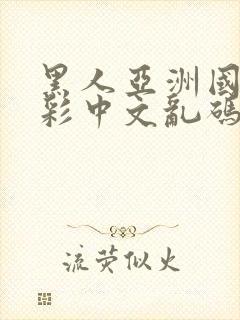 黑人亚洲国产精彩中文乱码av