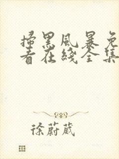 扫黑风暴免费观看在线全集封面