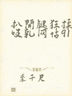 扒开腿狂揉大胸吸乳网站91