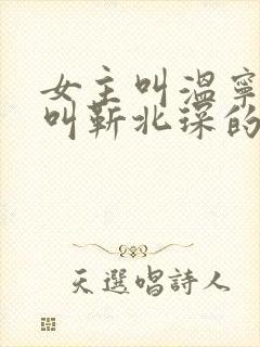 女主叫温宁男主叫靳北琛的小说