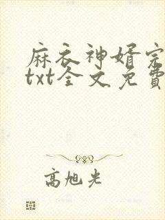 麻衣神婿完整版txt全文免费下载