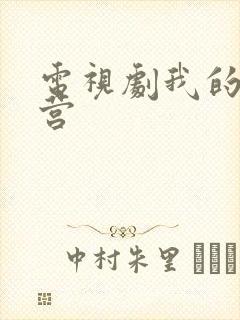 电视剧我的特一营