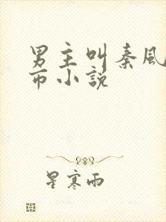 男主叫秦风的都市小说