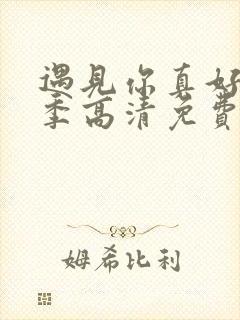 遇见你真好第一季高清免费观看