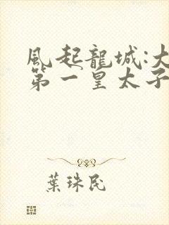 风起龙城:大唐第一皇太子 小说