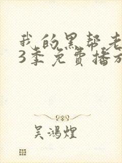 我的黑帮老大第3季免费播放在线观看