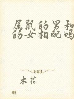 属鼠的男和属龙的女相配吗