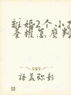 离婚2个小孩抚养权怎么判定封面