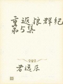 重返狼群纪录片第5集封面