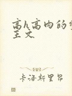 高h高肉的双男主文