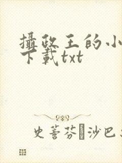 摄政王的小闲妻下载txt