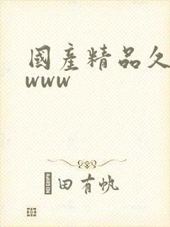 国产精品久久久www