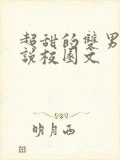 超甜的双男主小说校园文封面