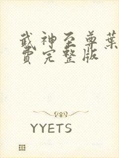 武神至尊叶风免费完整版