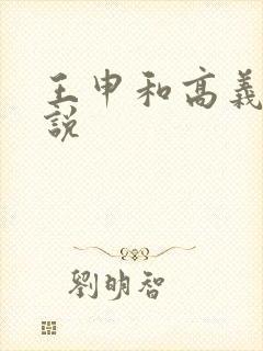 王申和高义的小说封面